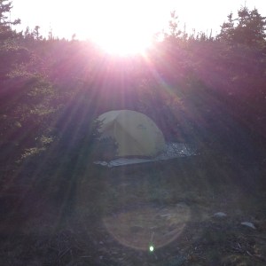 One of the few campsites I stayed in on the trail