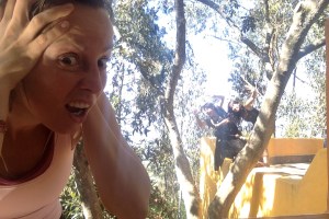 Photo on 2015-11-13 at 9.06 AM #2